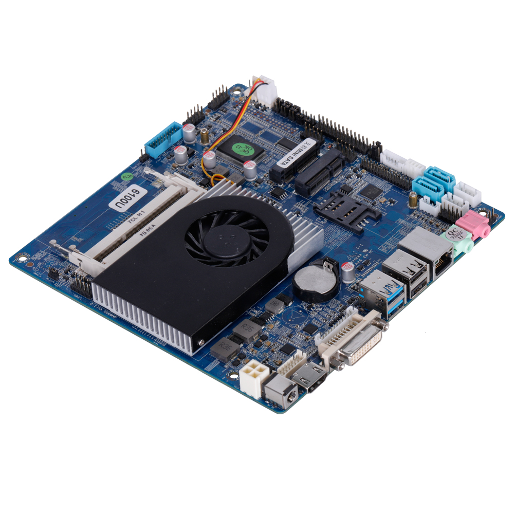 3 Years Warranty 3965U Dual Co - đánh giá và giá Ddr3 8Gb